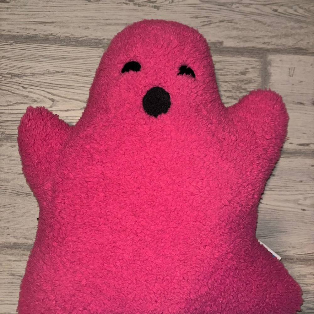 Pink Plush Toy